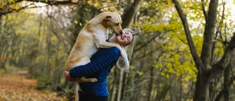 Il cane ci lecca, che vuol dire